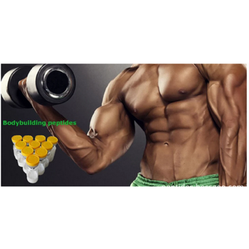 Muskelverbesserungspeptide 9009 SR für Bodybuilding